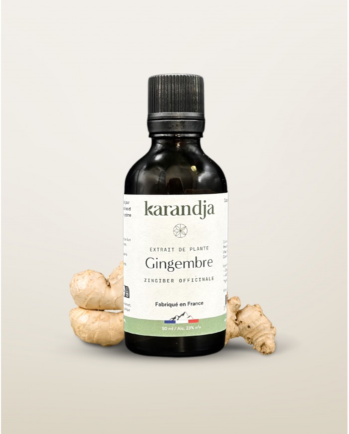 Extrait de Plante Bio GINGEMBRE