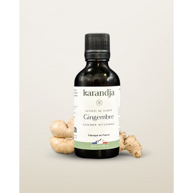Extrait de Plante Bio GINGEMBRE