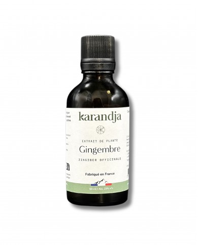 Extrait de Plante Bio GINGEMBRE