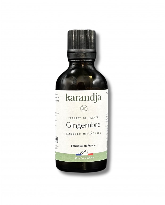Extrait de Plante Bio GINGEMBRE