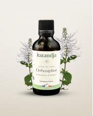 Extrait de plante Bio ORTHOSIPHON
