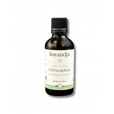 Extrait de plante Bio ORTHOSIPHON