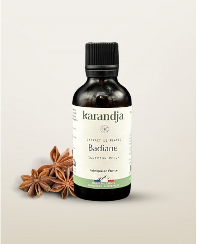 Extrait de plante Bio BADIANE
