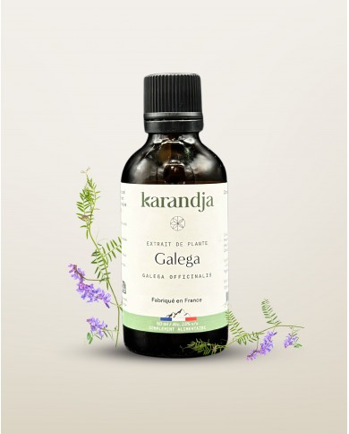 Extrait de plante Bio GALEGA