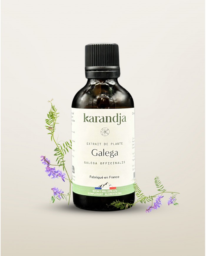 Extrait de plante Bio GALEGA