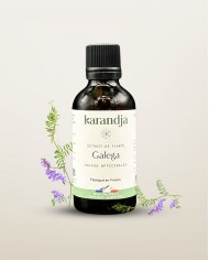 Extrait de plante Bio GIROFLIER