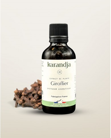 Extrait de plante Bio GIROFLIER