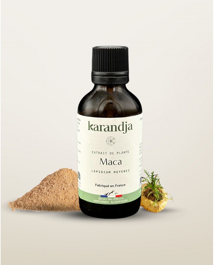 Extrait de plante Bio MACA