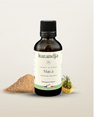 Extrait de plante Bio ORTHOSIPHON