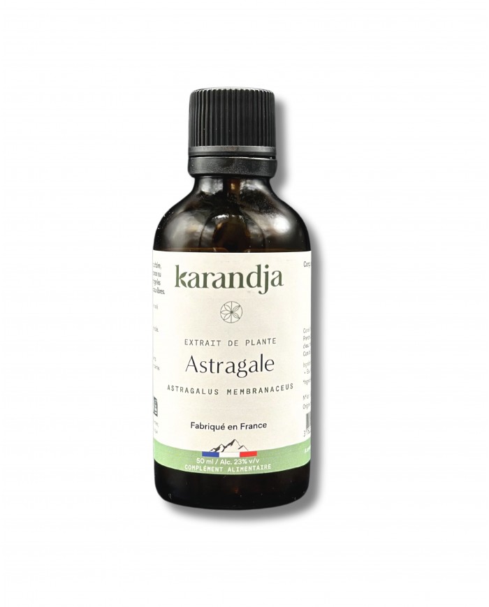 Extrait de plante Bio ASTRAGALE