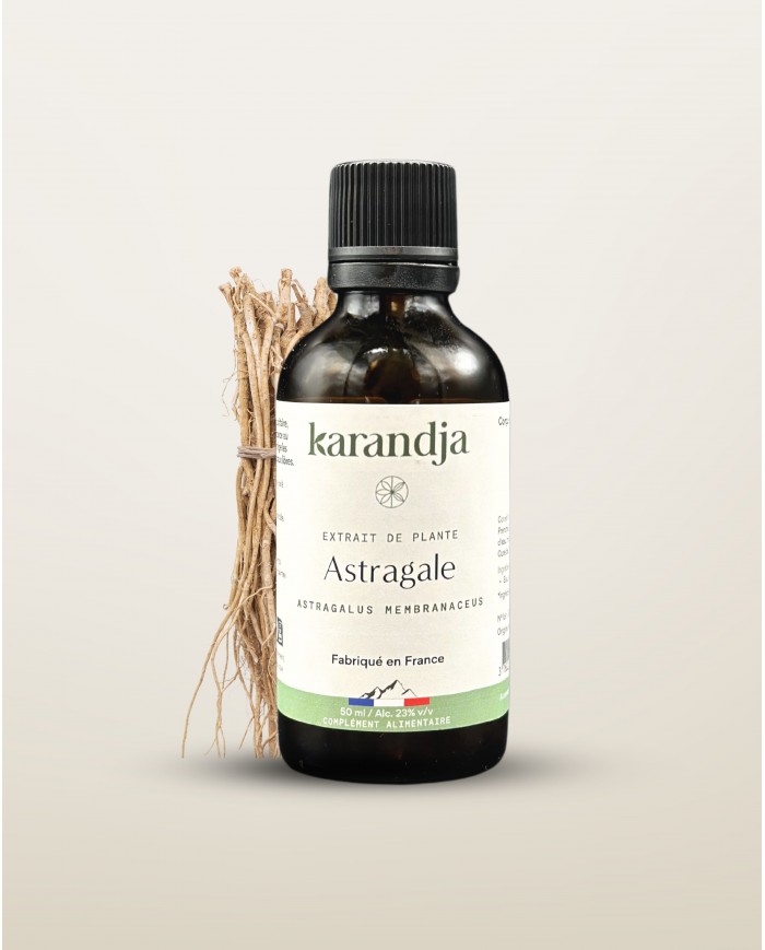Extrait de plante Bio ASTRAGALE