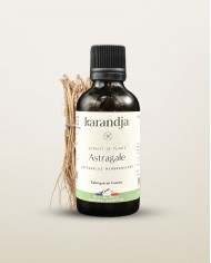 Extrait de plante Bio BADIANE