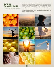 Savon liquide végétal pur olive certifié bio AGRUMES 500ml