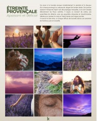 Savon liquide végétal pur olive certifié bio LAVANDE 500ml