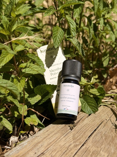 flacon huile essentielle bio menthe poivrée