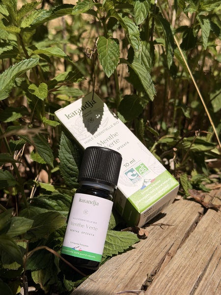 flacon huile essentielle menthe verte