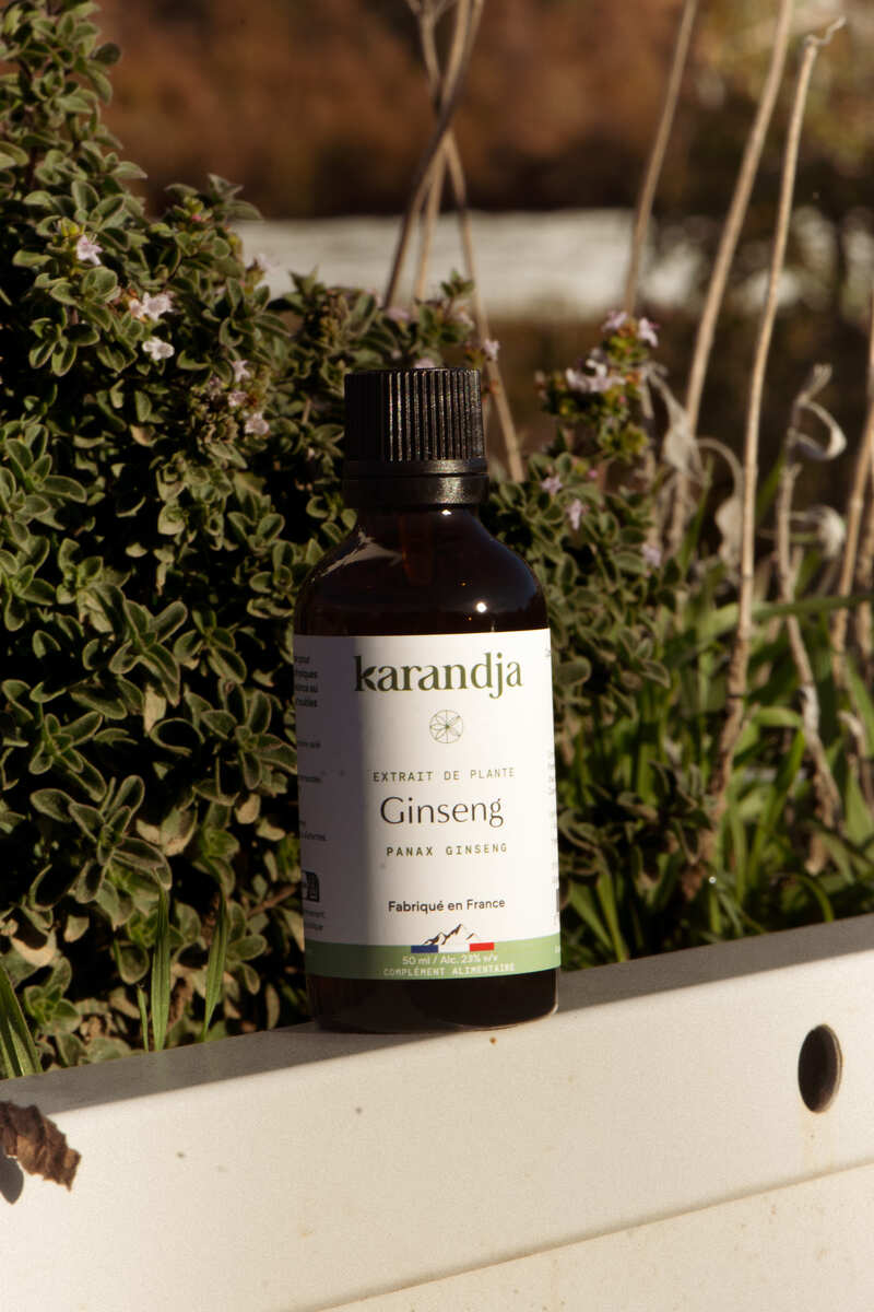 flacon d'extrait de plante de ginseng dans la nature Karandja