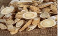 L’astragale : une plante adaptogène par excellence