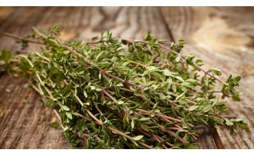 Thym linalol ou thymol : mieux comprendre leurs différences